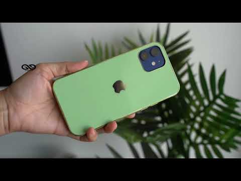 fern Green Glass Finish Case for iPhone 12 and 12 mini