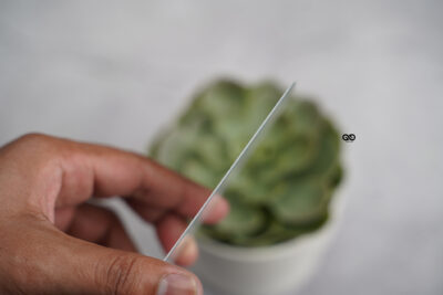 Matte Tempered Glass for iPhone 14