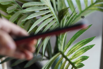 Red Tactical Defense case for iPhone 12 Pro